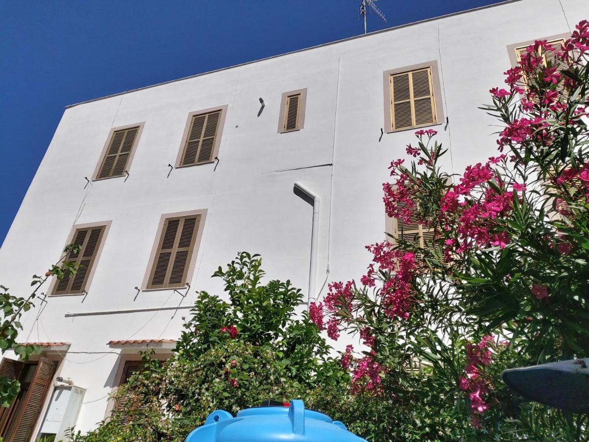 Whole Holiday Home Apartment Splendid Civitavecchia Da Pamino & Priscilla מראה חיצוני תמונה