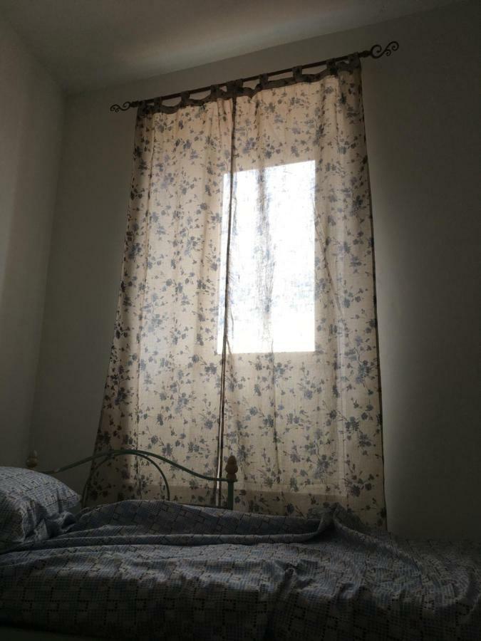 Whole Holiday Home Apartment Splendid Civitavecchia Da Pamino & Priscilla מראה חיצוני תמונה